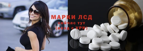 прущие грибы Арсеньев