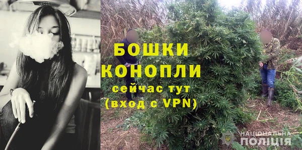 прущие грибы Арсеньев