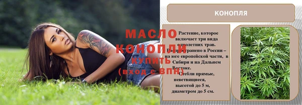 прущие грибы Арсеньев