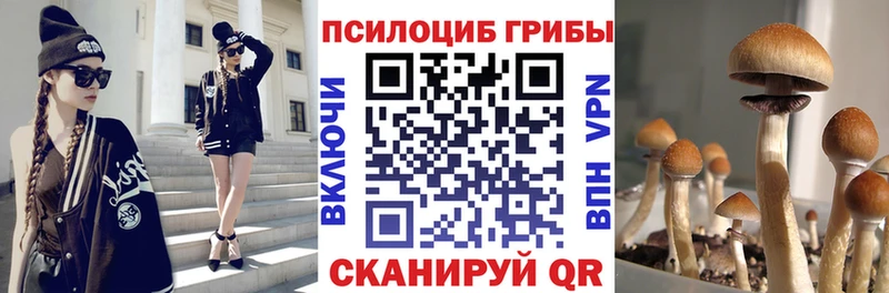 Псилоцибиновые грибы мицелий сколько стоит kraken tor Ахтубинск